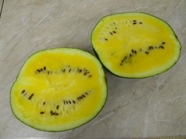 Janosik - žlutý vodní meloun